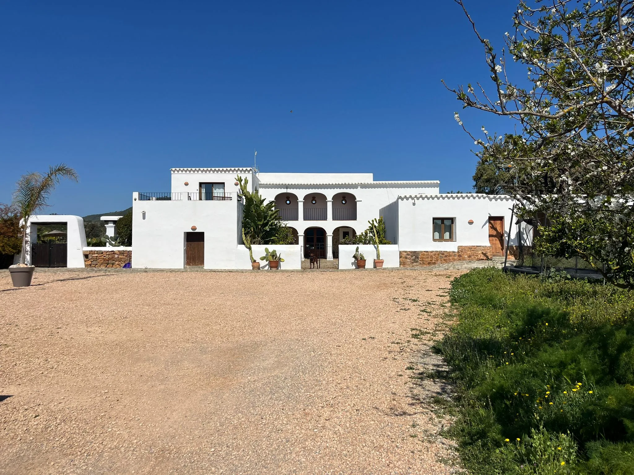La Casa de Mis Sueños finca in sunlight — white Mediterranean architecture in Ibiza