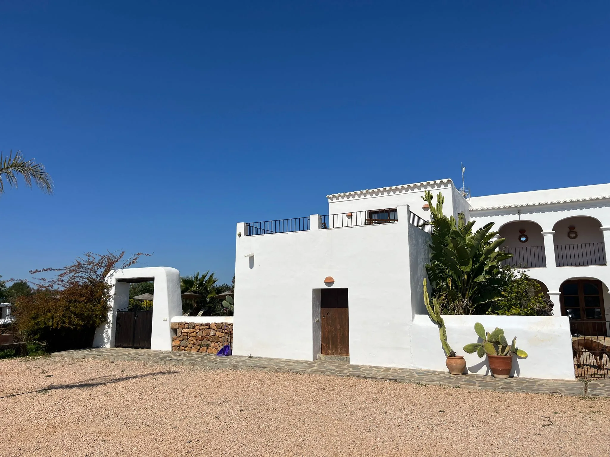 Ibiza finca exterior with rooftop, cactus garden and terracotta tiles