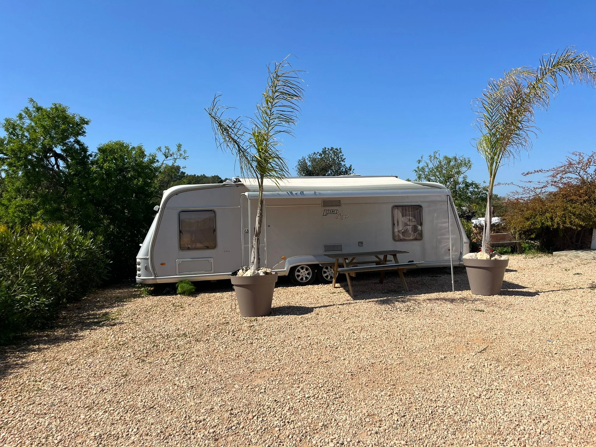 Unique caravan stay nestled in the finca grounds — private and natural Ibiza experience