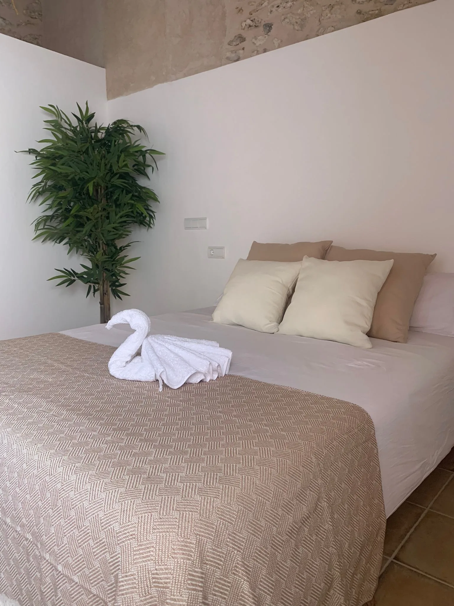 Glamping area at night — peaceful nature setting at the finca Ibiza