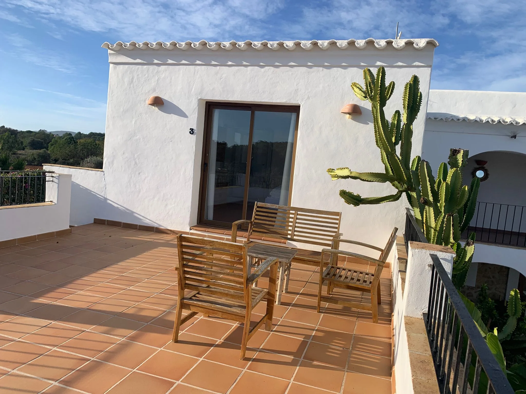 Rooftop terrace with wooden chairs, white finca walls and tall cactus — La Casa de Mis Sueños